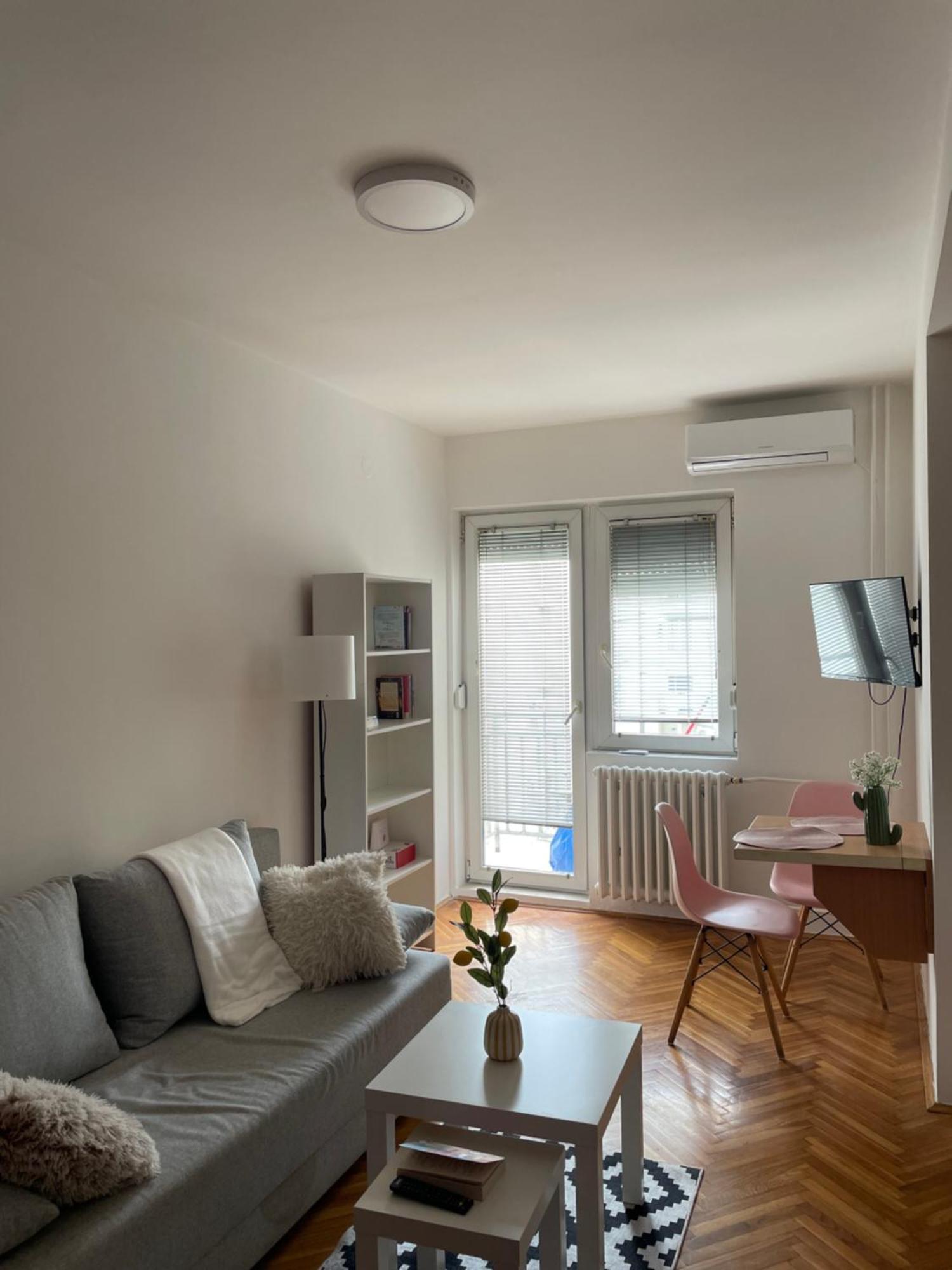 Lola * Novi Sad